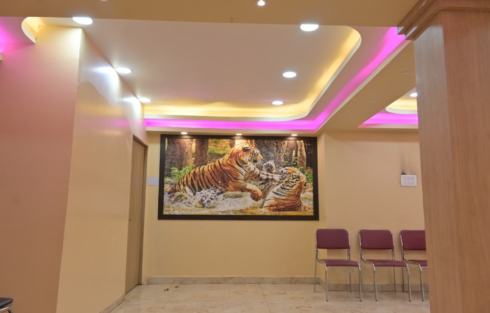Gallery Picture